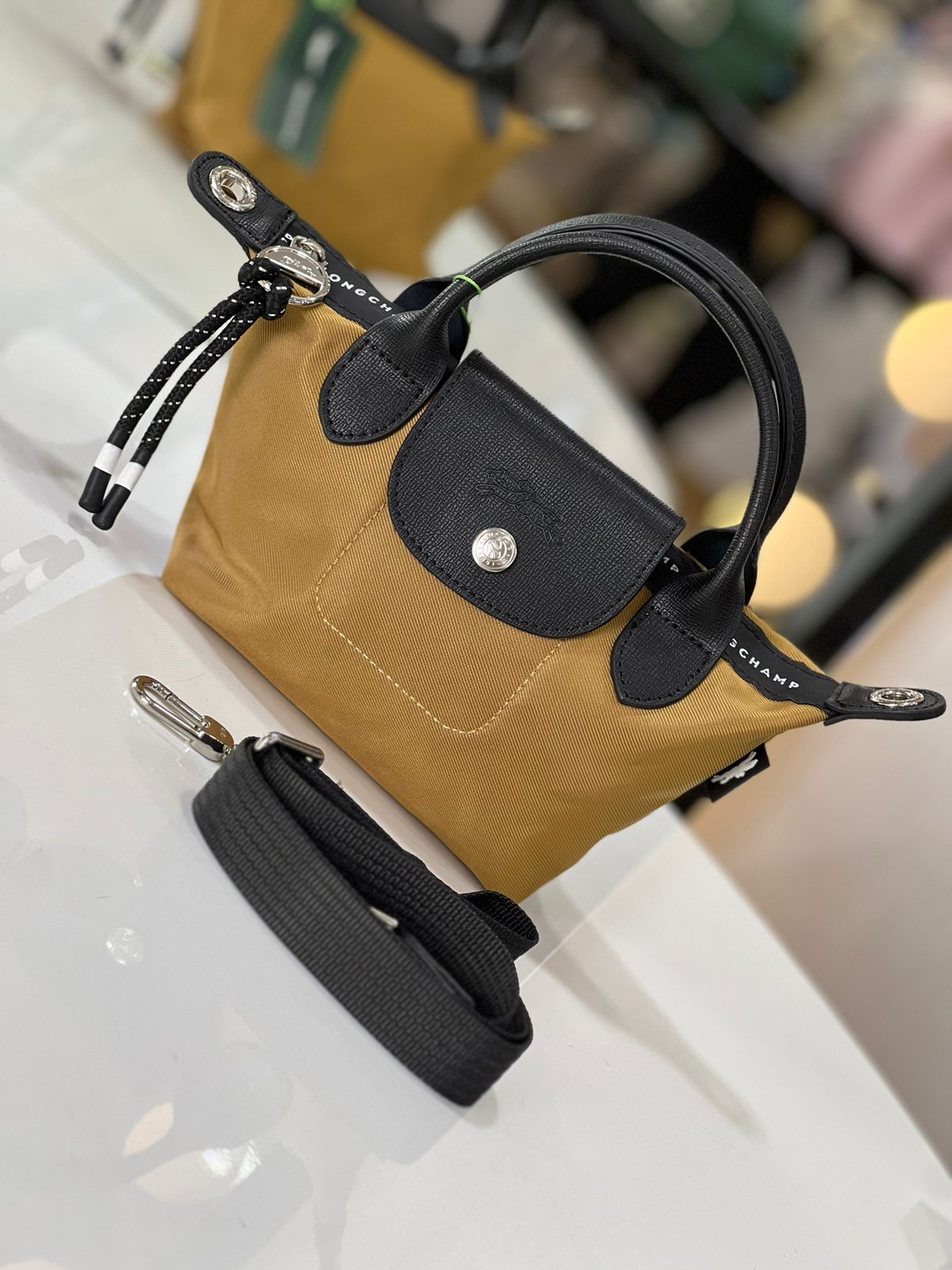 Longchamp Bag Masterpiece