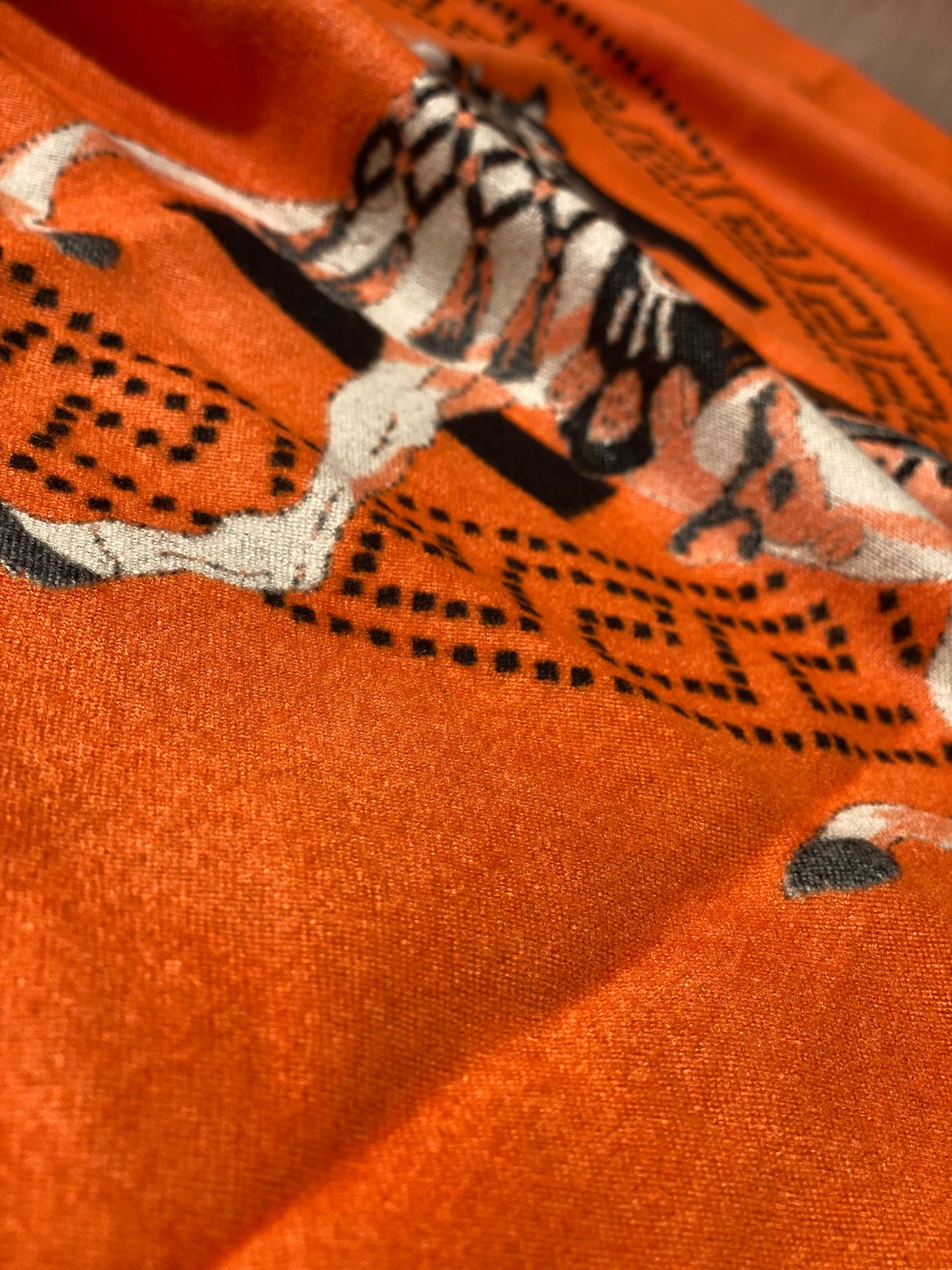Hermes Scarf