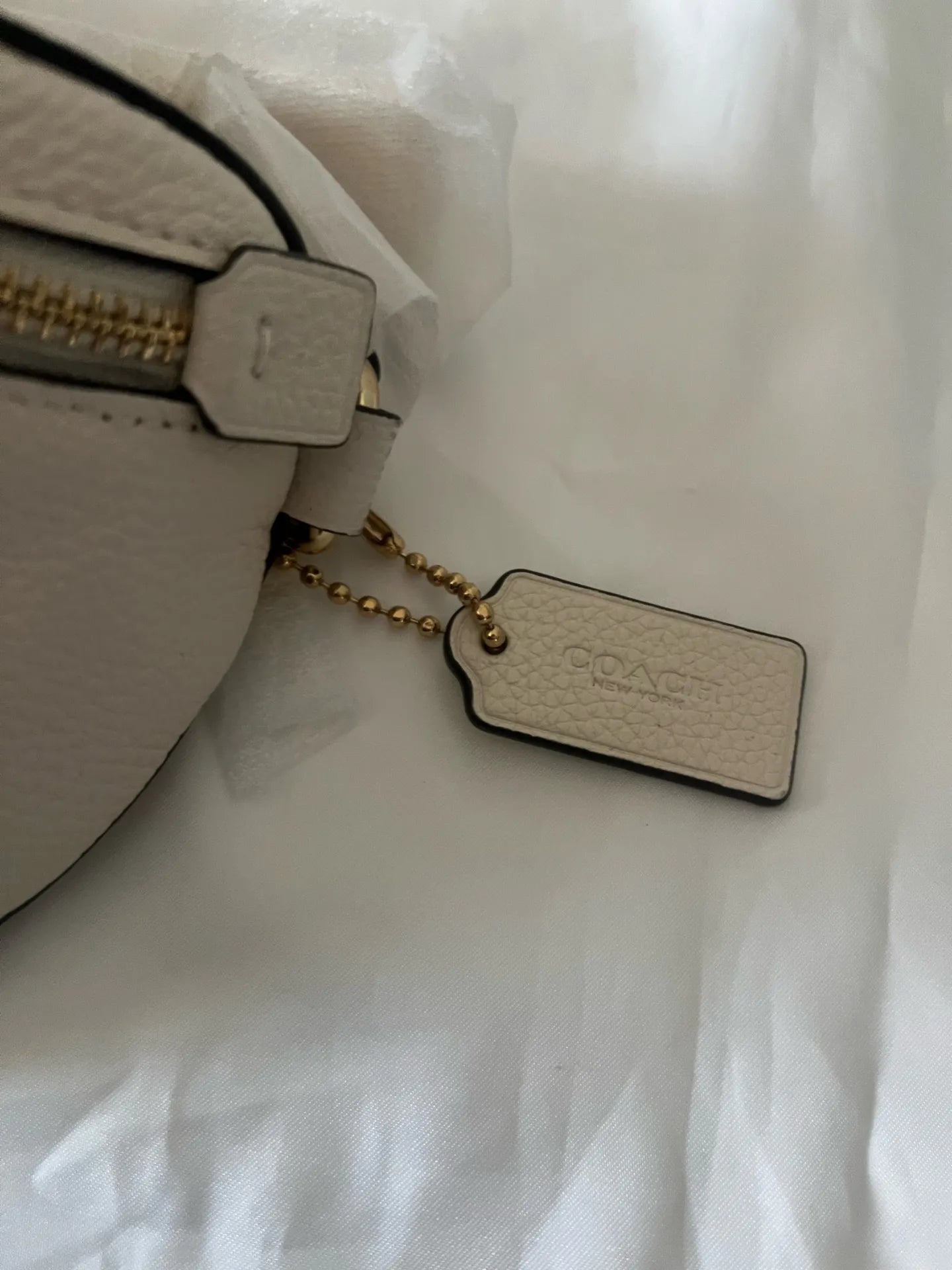 Coach Belt Bag