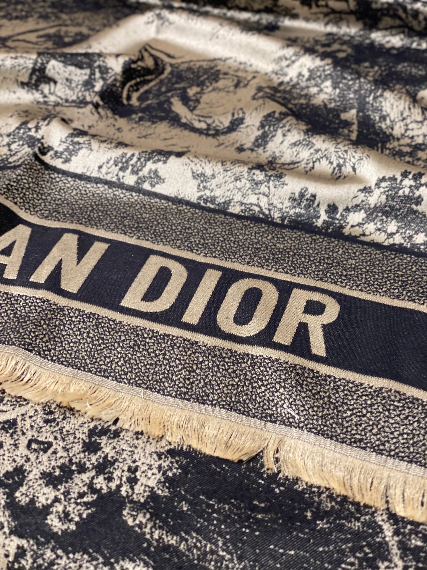 Dior Scarf