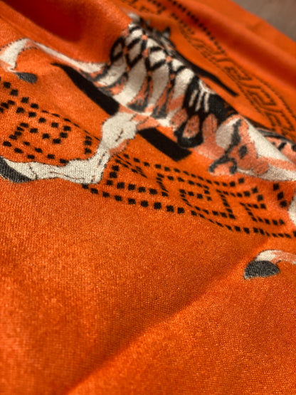 Hermes Scarf