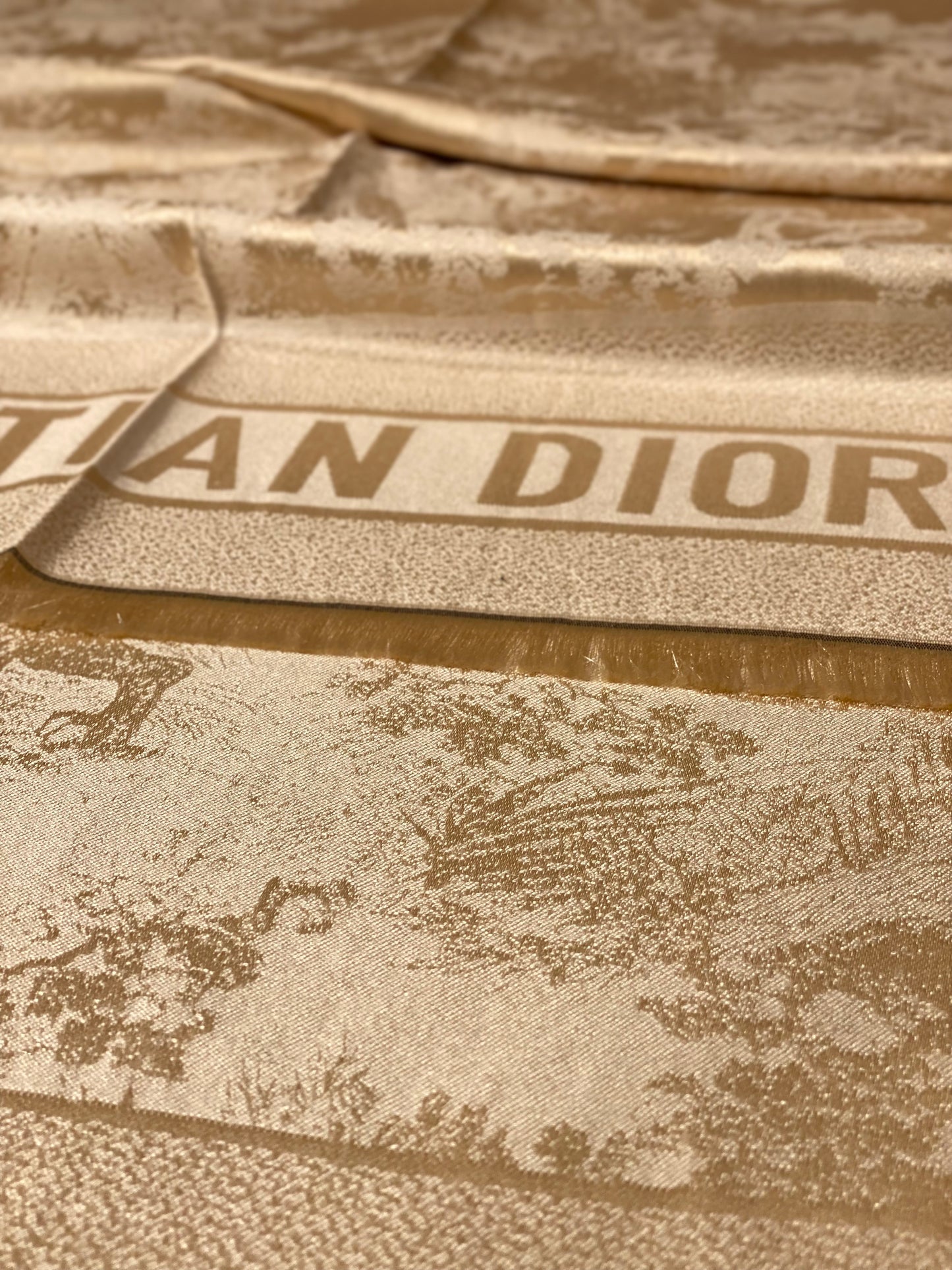 Dior Scarf