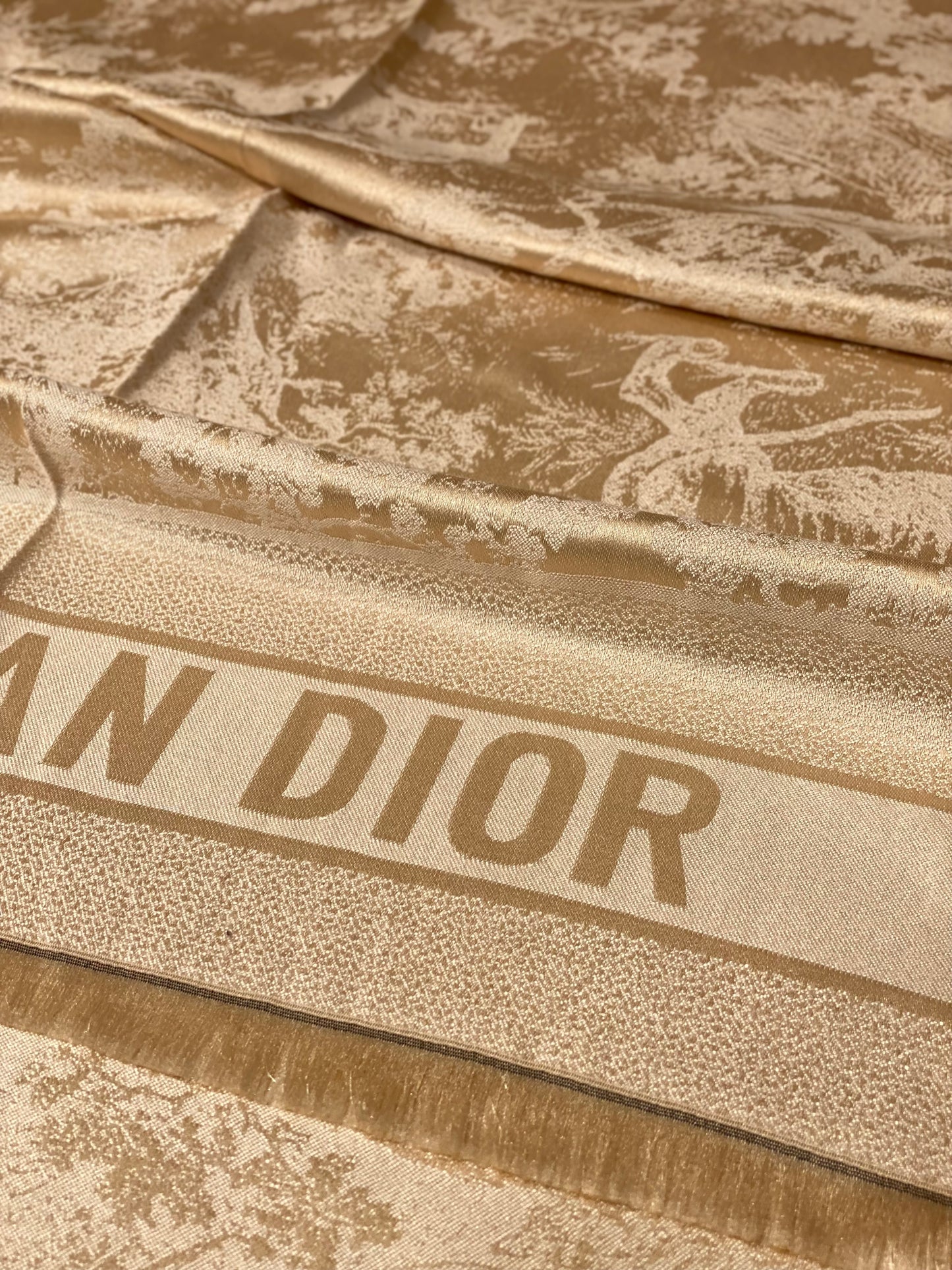 Dior Scarf