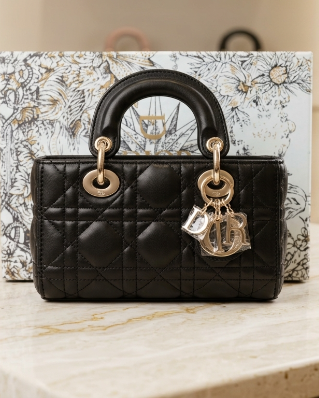 Lady Dior