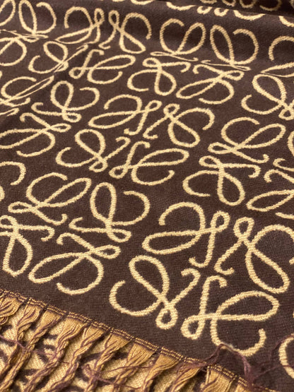 LOEWE Scarf