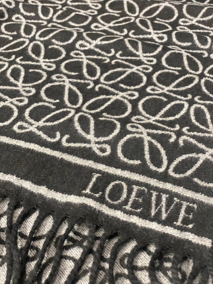 LOEWE Scarf