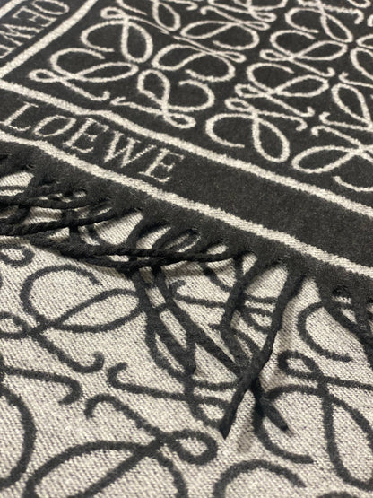 LOEWE Scarf