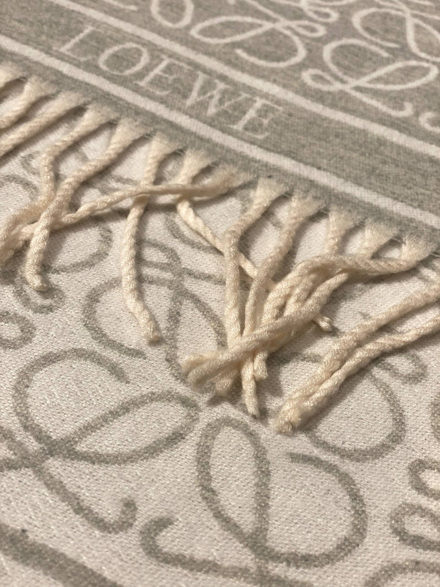 LOEWE Scarf