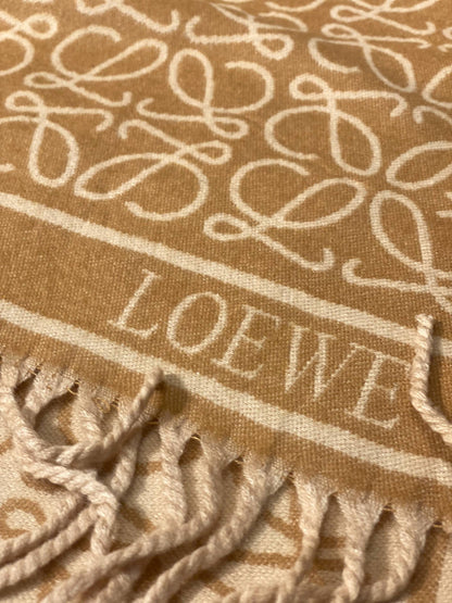 LOEWE Scarf