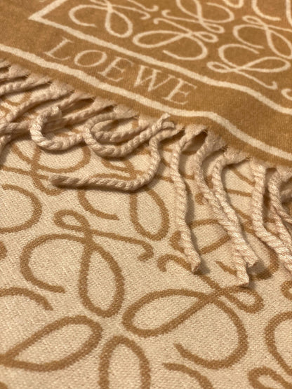 LOEWE Scarf
