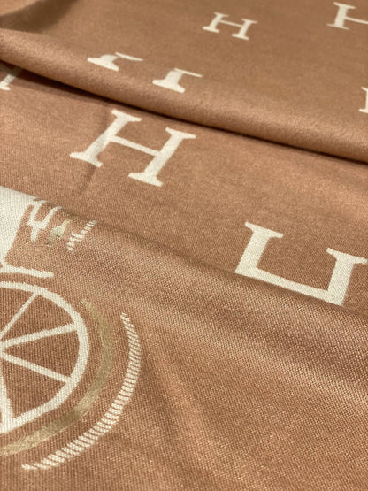 Hermes Scarf