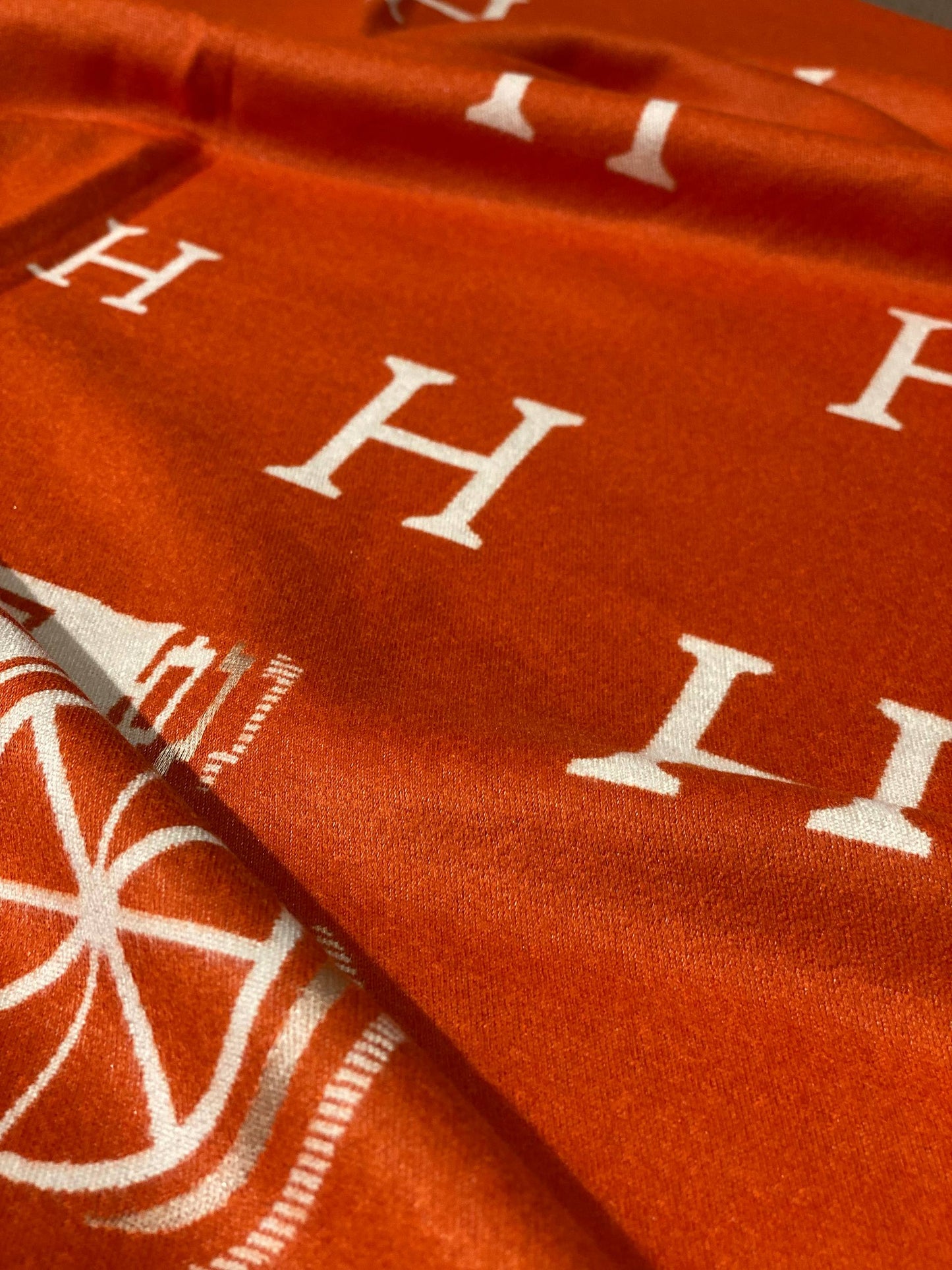 Hermes Scarf