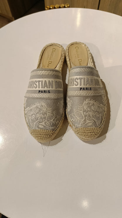 Shoes Dior